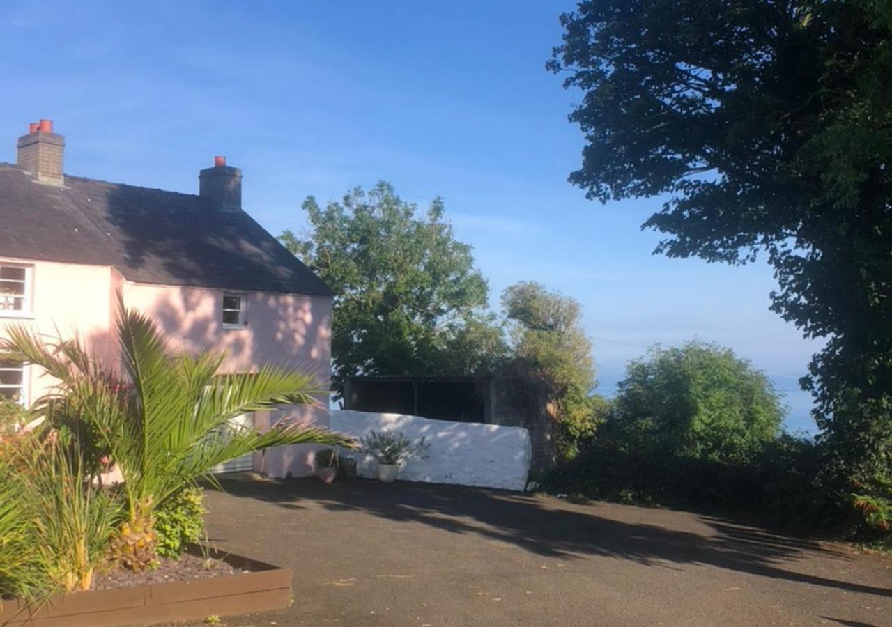 The Pink Cottage Upstairs Suite & Garden Summer Room Whitehead Exteriér fotografie