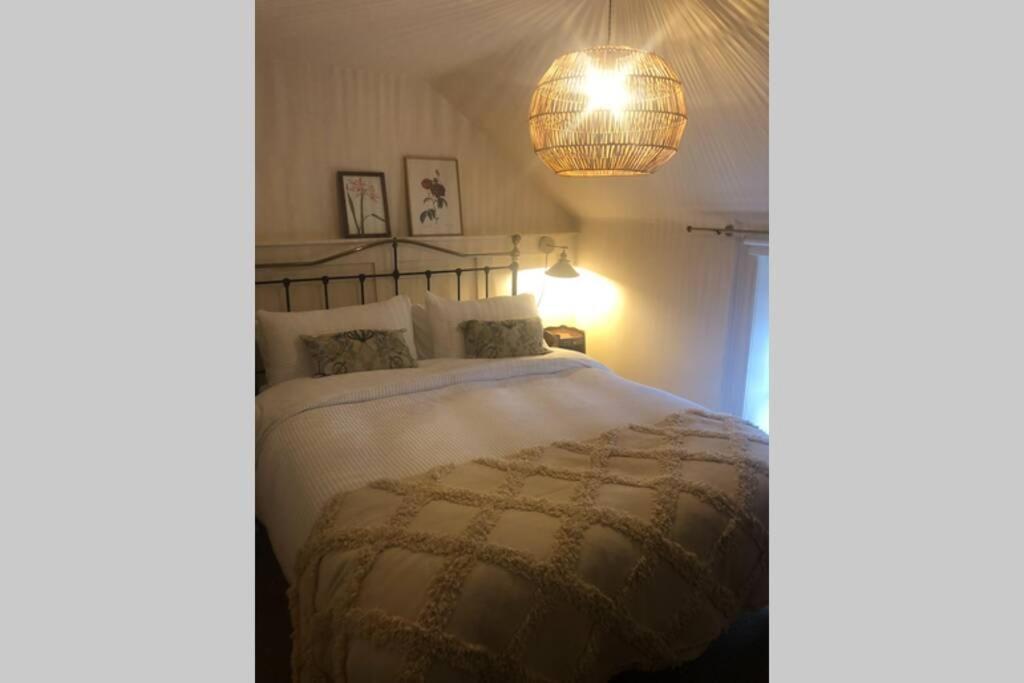 The Pink Cottage Upstairs Suite & Garden Summer Room Whitehead Exteriér fotografie