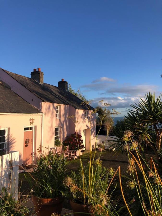 The Pink Cottage Upstairs Suite & Garden Summer Room Whitehead Exteriér fotografie