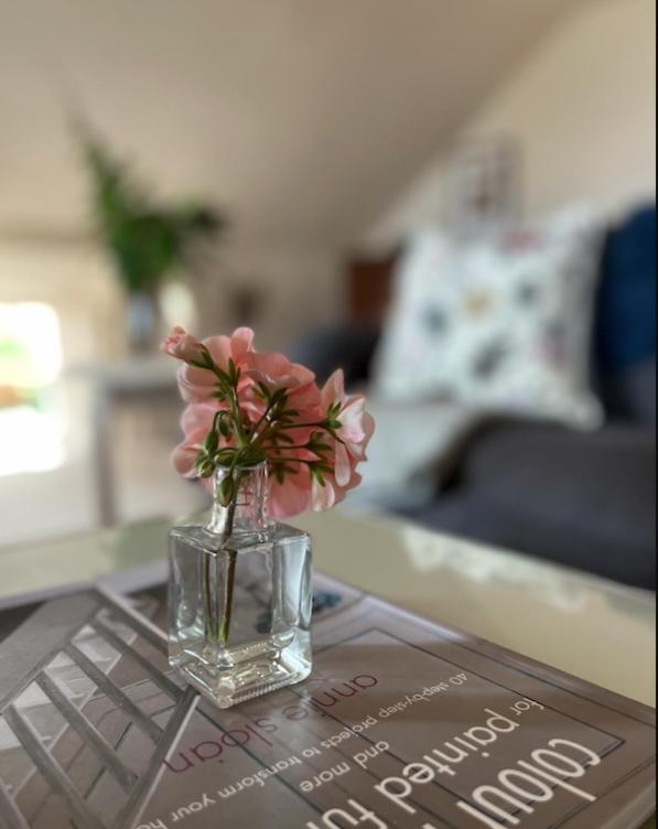 The Pink Cottage Upstairs Suite & Garden Summer Room Whitehead Exteriér fotografie