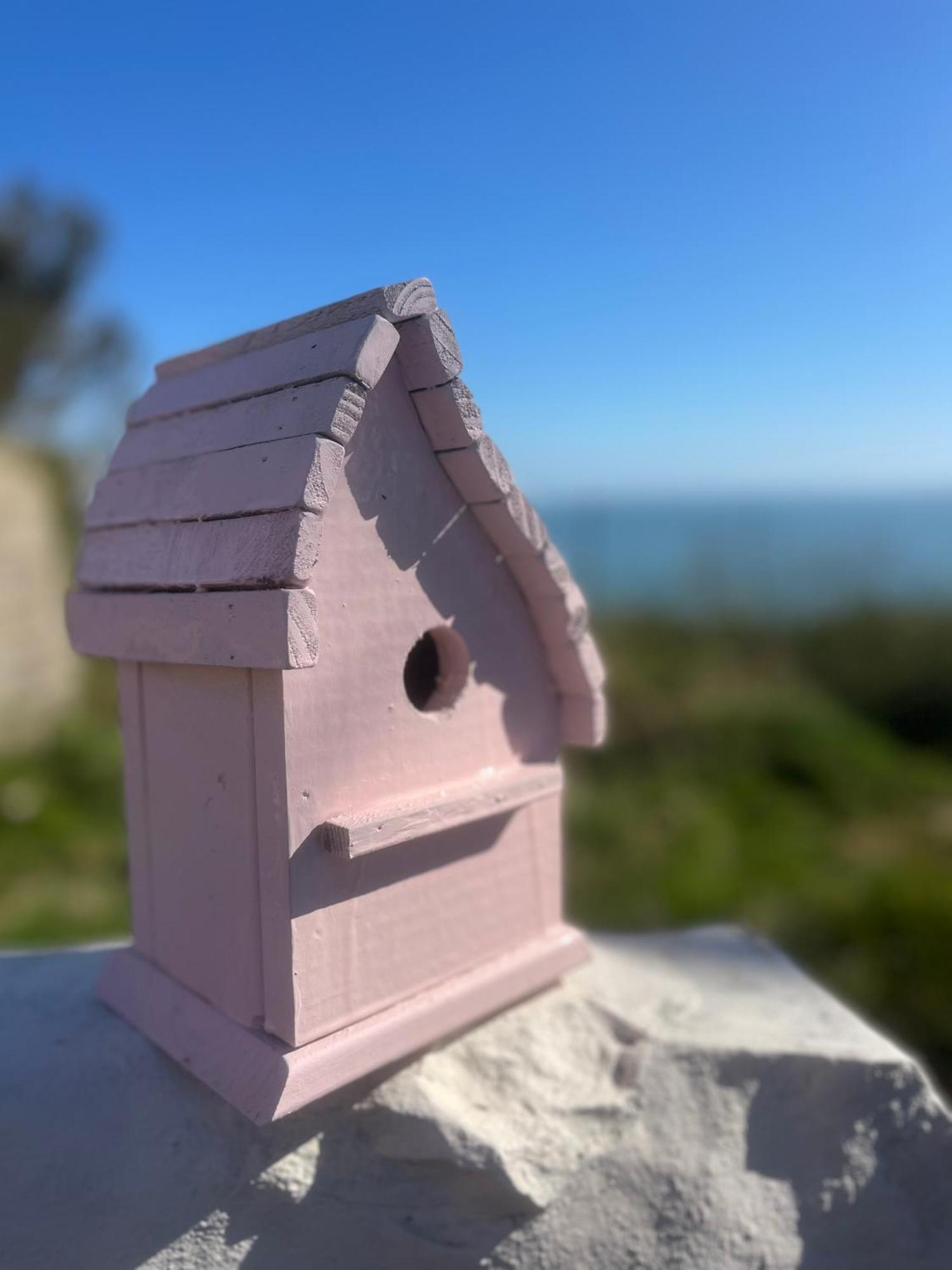 The Pink Cottage Upstairs Suite & Garden Summer Room Whitehead Exteriér fotografie